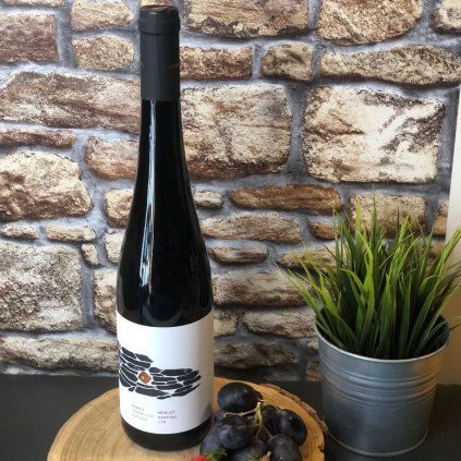 VÍNO RARIGA - Merlot barrique 2018